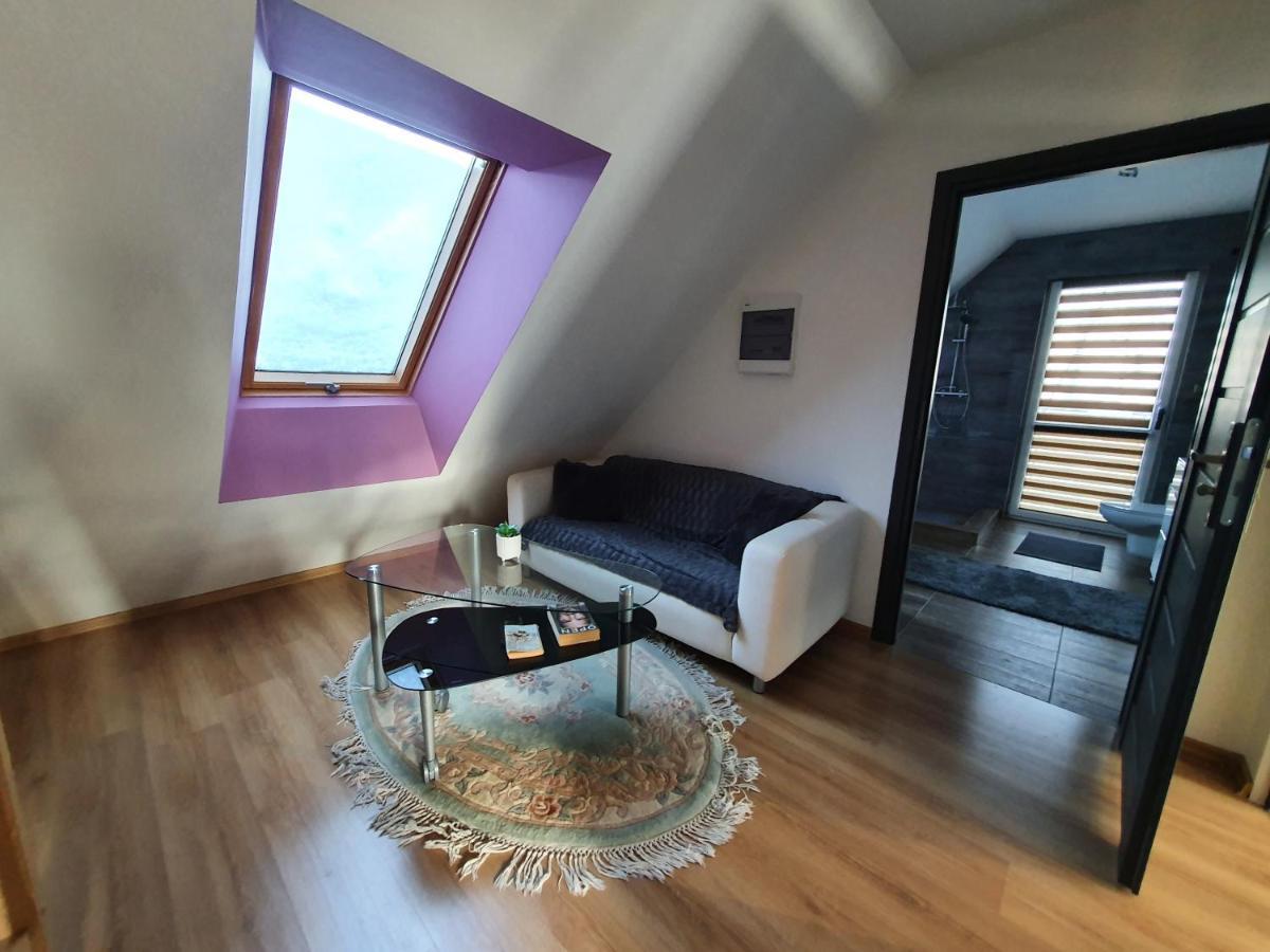 Nowy Dom Apartament Z Widokiem Na Gory 8 Osob Bielsko-Biała Dış mekan fotoğraf